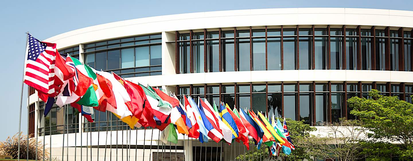 International Flags outside William H. Hannon Library